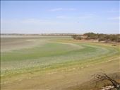 Tracking the shoreline of Lake Coongie, Innamincka Regional Reserve, SA: by thomasz, Views[203]
