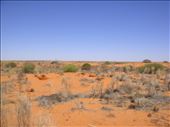 Approaching the Strzelecki Desert, SA: by thomasz, Views[194]