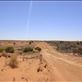 Entering the Strzelecki Desert, SA: by thomasz, Views[179]
