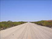 White sand, Old Strzelecki track, SA: by thomasz, Views[183]