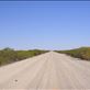 White sand, Old Strzelecki track, SA: by thomasz, Views[173]
