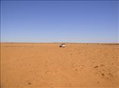 Desert alright, Strzelecki Desert, SA: by thomasz, Views[186]