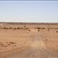 There's no end to it, Strzelecki Desert, SA: by thomasz, Views[149]
