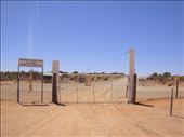 Crossing into NSW, dingo fence, Cameron Corner, SA: by thomasz, Views[226]