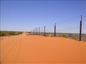 Dingo fence, world's longest fence (around 5600km), Cameron Corner, NSW : by thomasz, Views[267]
