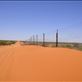 Dingo fence, world's longest fence (around 5600km), Cameron Corner, NSW : by thomasz, Views[243]