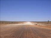 Vast emptiness, Sturt NP, NSW: by thomasz, Views[163]