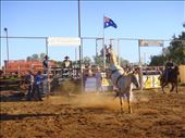 Rodeo, 31/12/2014, Tibooburra, NSW: by thomasz, Views[233]
