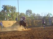 Bucking, rodeo @ Tibooburra, NSW: by thomasz, Views[160]