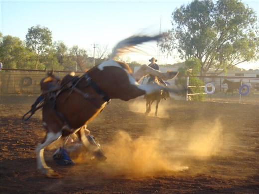 The horse wins, rodeo @ Tibooburra, NSW