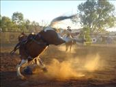 The horse wins, rodeo @ Tibooburra, NSW: by thomasz, Views[115]