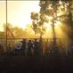 The last rays of sunlight of 2014, rodeo @ Tibooburra, NSW: by thomasz, Views[224]
