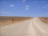 Road to Wanaaring, Sturt NP, NSW: by thomasz, Views[155]