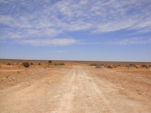 50/50, Sturt NP, NSW