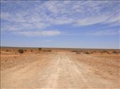 50/50, Sturt NP, NSW: by thomasz, Views[168]