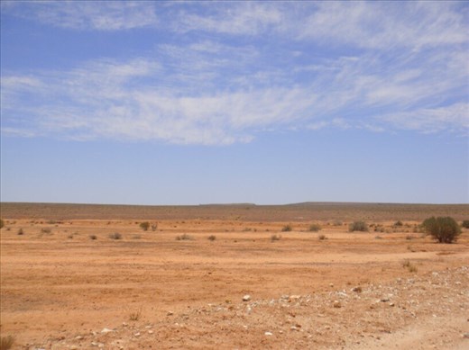 The outback of the Corner Country, Sturt NP, NSW