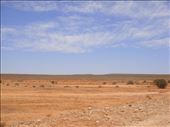 The outback of the Corner Country, Sturt NP, NSW: by thomasz, Views[199]