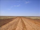 Back into the flats, Sturt NP, NSW: by thomasz, Views[145]