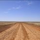 Back into the flats, Sturt NP, NSW: by thomasz, Views[146]