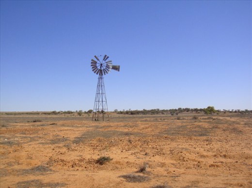 Gone glory, Sturt NP, NSW