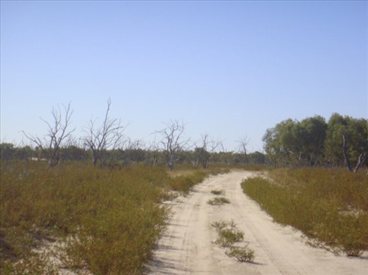 Driving through dry Lake Pinaroo, Sturt NP, NSW