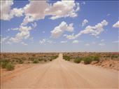 Undulating, Strzelecki Desert, SA: by thomasz, Views[229]