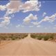 Undulating, Strzelecki Desert, SA: by thomasz, Views[220]