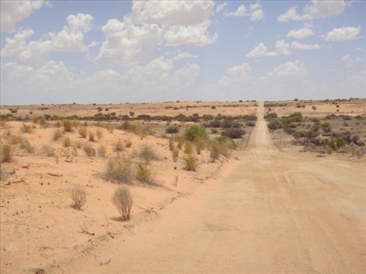 More dunes, Strzelecki Desert, SA