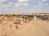 More dunes, Strzelecki Desert, SA: by thomasz, Views[172]