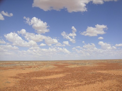 Where to find shade?, Strzelecki Desert, SA