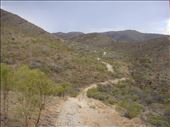 Windy stretch, Arkaroola, SA: by thomasz, Views[189]