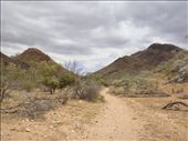 Entering Vulkathunha-Gammon Ranges NP, SA: by thomasz, Views[232]
