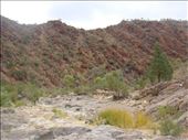 Weetootla Gorge, Vulkathunha-Gammon Ranges NP, SA: by thomasz, Views[157]