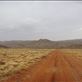 Start of the track across Vulkathunha-Gammon Ranges NP, SA: by thomasz, Views[159]