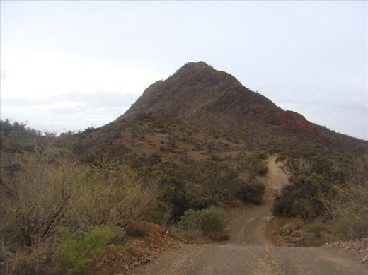 Steep, Vulkathunha-Gammon Ranges NP, SA