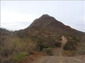 Steep, Vulkathunha-Gammon Ranges NP, SA: by thomasz, Views[151]
