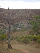 Grindells hut, Vulkathunha-Gammon Ranges NP, SA: by thomasz, Views[165]