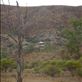 Grindells hut, Vulkathunha-Gammon Ranges NP, SA: by thomasz, Views[153]