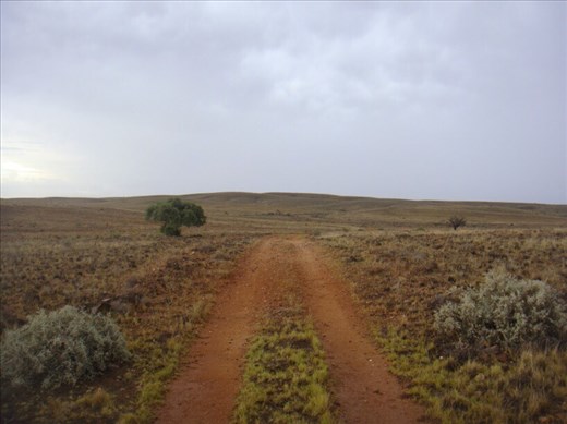 Out of the ranges and into the plains, Vulkathunha-Gammon Ranges NP, SA
