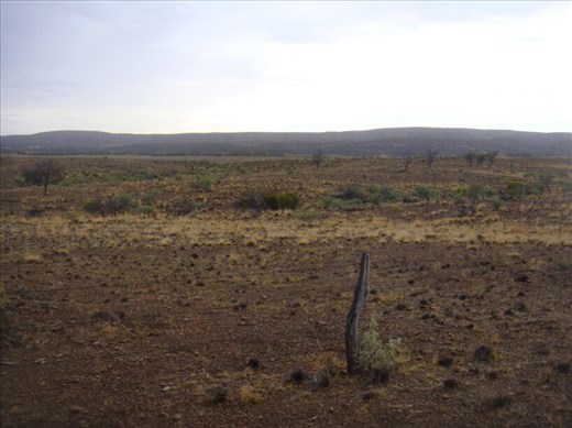 Fence, Vulkathunha-Gammon Ranges NP, SA