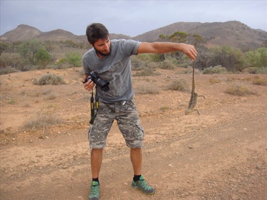 Doesn't seem bothered by Carlo, SA