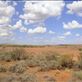 Driving down from Leigh Creek, SA: by thomasz, Views[125]