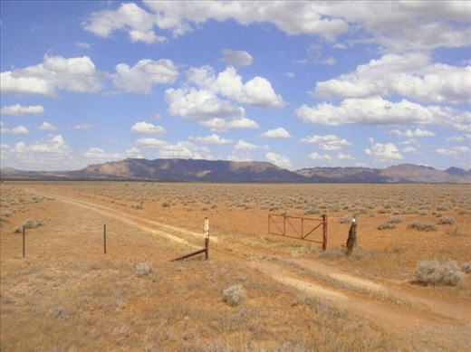 Into a vast paddock, Flinders Ranges, SA