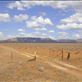 Into a vast paddock, Flinders Ranges, SA: by thomasz, Views[139]