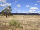 Along Moralana Scenic Drive, Flinders Ranges, SA: by thomasz, Views[143]