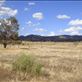Along Moralana Scenic Drive, Flinders Ranges, SA: by thomasz, Views[140]