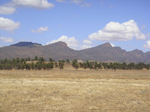 Wilpena Pound, Flinders Ranges NP, SA
