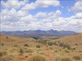 Overlooking Wilpena Pound, Flinders Ranges NP, SA: by thomasz, Views[144]