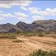 To Wilkawillina gorge, Flinders Ranges NP, SA: by thomasz, Views[130]