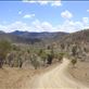 Dirt road, somewhere in Flinders Ranges NP, SA: by thomasz, Views[209]
